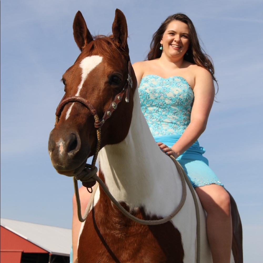 ISO Horse tack items